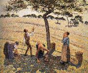 Apple picking